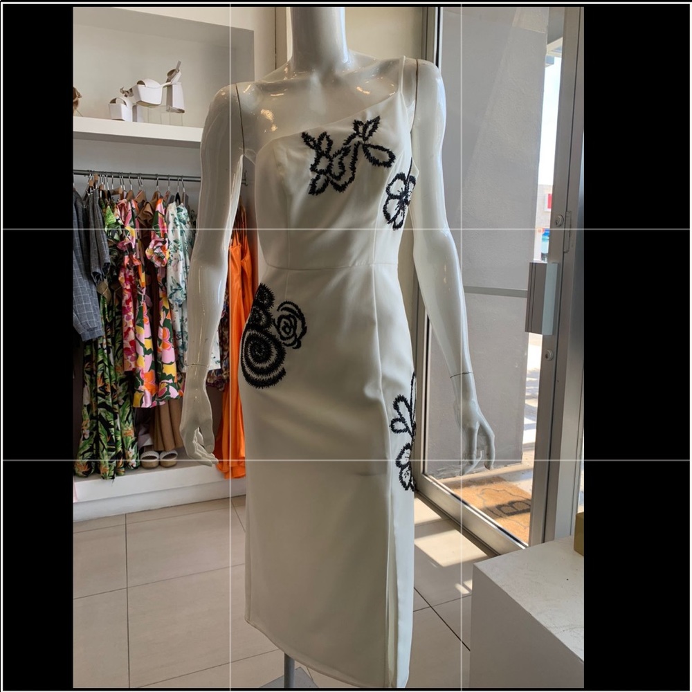 NWT foxi dox